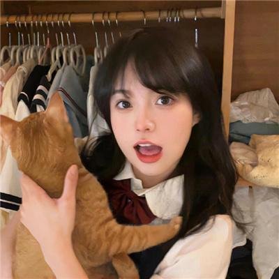 字典情人