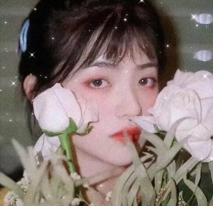 族长的赘婿
